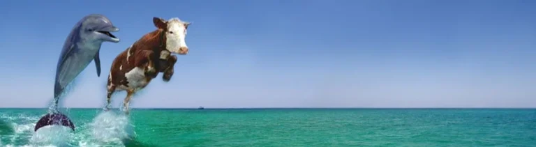 profile_banner-1787134112279